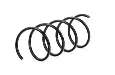 BSG 60-305-054 Helezon Yayı Ön RA3098 A2033214004 SP3311 993292 A2033214104 A2033214204 17187 19330 4056837 19332