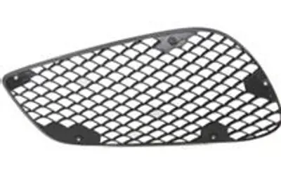 PRO-A 341427 Tampon Izgarası On Sag (Amg, Acık) E-Class W212 13>15 A2128850623