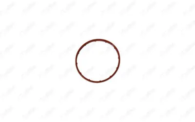 NIFEA 14781 Vakum Pompa Orıng Takımı Fıesta Fusıon 04>12 P206 P207 C2 C3 Nemo Bıpper 1,4hdı 16173030801614087080