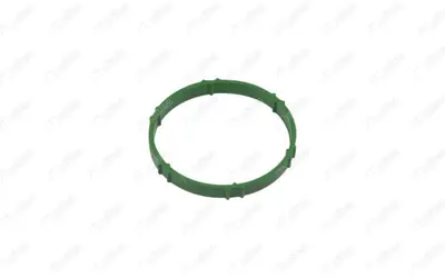 NIFEA 19371 Emme Manıfold Bogaz Conta  Transıt Custom V362 2.0 Ecoblue 15--> Transıt V363 2.0 Ecoblue 16--> GK2Q9P848AB2268830