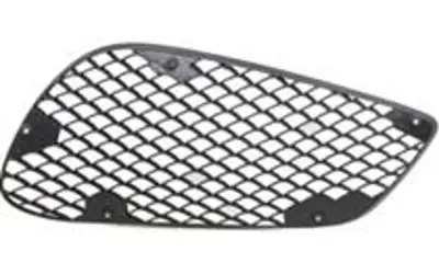 PRO-A 341426 Tampon Izgarası On Sol (Amg, Acık)  E-Class W212 13>15 A2128850224