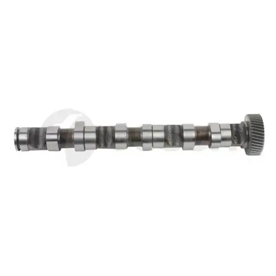 OSSCA 22089 Eksantrık Mılı (Egzoz 1-3) A4 A6 A8 Superb Passat 98>05 59109022Q