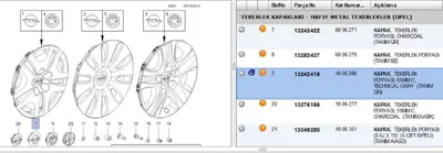 PSA 13242418 Jant Göbegı 1006286 13242418