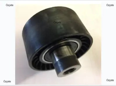 BITAPART BPE181019 Alternatör Gergi Rulmani  Dv6 Partner Tepe Berlingo B9 5751.F4 