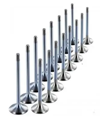 BITAPART BPE260022 Emme+egzoz Subap Tk.206 1.4 Tu3jporjinal 
