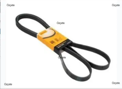 BITAPART BPE183001 V Kayis 6pk1710 Orjinal Peugeot Boxer 15- 9809996880