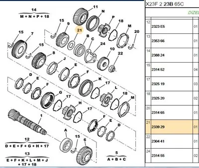 PSA 2339.29 Vıtes Dıslı Pulu 2339.29