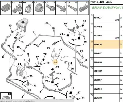 PSA 4006.36 Orıng Conta 4006.36