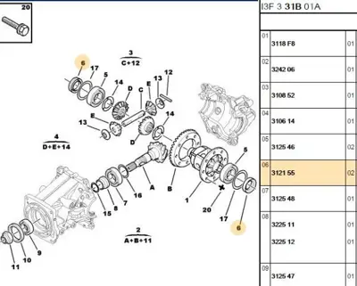 PSA 3121.55 diferansiyel Keçesi  3121.55