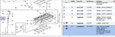 PSA 55262539 Supap Yayı 55262539