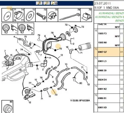PSA 6987.Q7 Agraf 6987Q7