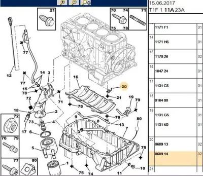 PSA 0609.14 Yağlama Memesi 0609.14