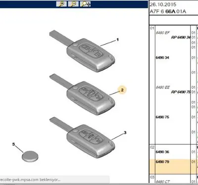 PSA 6490.79 Plipli Anahtar 649079