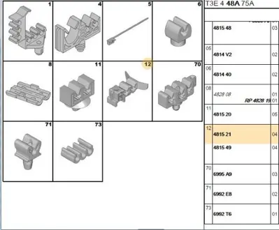 PSA 4815.21 Agraf  4815.21
