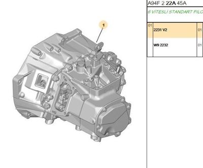PSA 2231.V2 Komple şanzıman  2231.V2