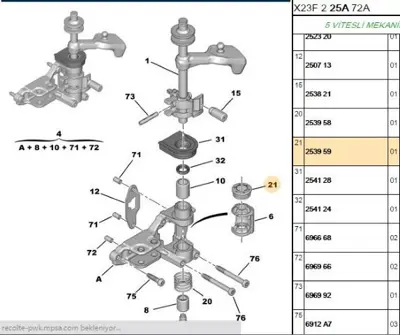 PSA 2539.59 Vites Kilitleme Yayı  2539.59