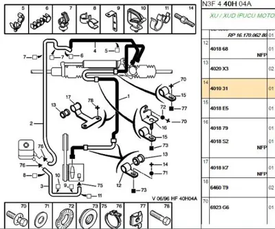 PSA 4010.31 Saplama Vidası  4010.31