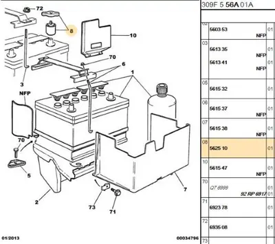 PSA 5625.10 Kutup Başı  5625.10