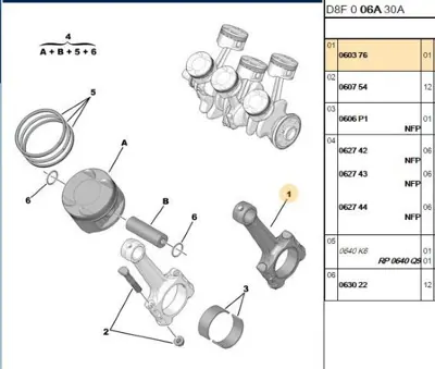 PSA 0603.76 Piston Kolu 0603.76