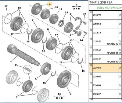 PSA 2337.81 Vites Dişlisi 233781
