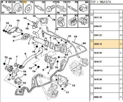 PSA 2420.14 Müşür 242014