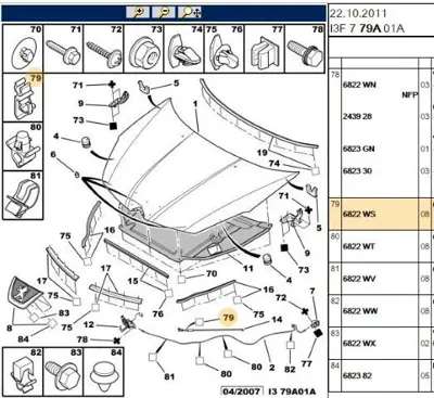 PSA 6822.WS Kaput Demir Agrafı  6822.WS