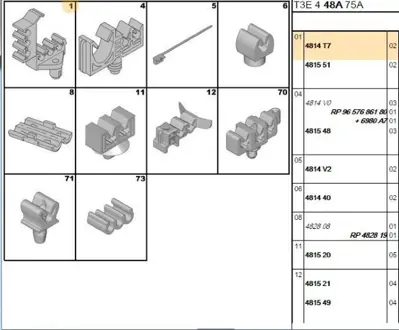 PSA 4814.T7 Agraf 4814T7