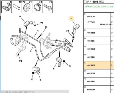 PSA 4019.C0 Direksiyon Hortum Agrafı  4019.C0