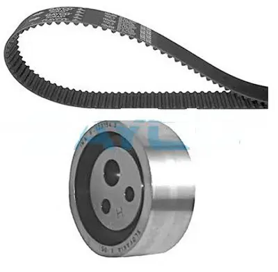 GMB VT106001 Eksantrik Rulman Kiti (Triger Seti) Clıo Kangoo Megane 8v Buyuk Rulman Logan 1,4 1,6 04 07 (096sp170 7701472725 7701477024 1307700Q0C 1307700QAF 1307700QAJ 1680600Q0P 1680600QAR 1680600QAV 1680600QBD 1680600QBA