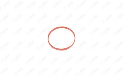 NIFEA 19357 Emme Manifold Contasi Arteon Caddy Cc Eos Golf V Vi Vii Viii Jetta Passat Polo Scirocco Tiguan T8 T- 3C133073A A2C59516948 WG1452092 30103785 117328 7056003 24029700 RINGAH032PCS10 WG2112068 WG1501153