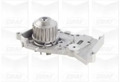 GRAF  PA1043 Devirdaim Renault Clio Ii 98> Clio Iii 05> Fluence 10> Kangoo 97> Laguna I 97> Laguna Ii 01>05 Megane I-Ii-Iii Scenic I-Ii-Ii Symbol Ii 08> Dokker 12> Sandero 08> 1.4 1.6 210100753R 16130270001 60921239 FWP1778 P842S D1R015TT CXP1841S PA970S 210105707R 210105296R