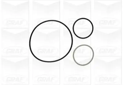GRAF  PA900 Devirdaim (Su Pompasi) Fiat Ducato 06> Ivecodaily Iii 05> C13 2.3 Jtd (F1a)  Karsan J10 02> (E4) Jest (5) 504033770 350982024000 1201L7 8MP376801764 2132200024 4057795029521 1987949769 350381 504323990 39200129