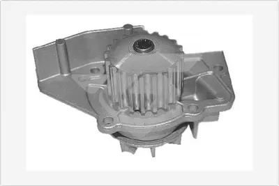 HUTCHINSON  WP31 Devirdaim Partner-Berlingo-C5-307-Expert-Boxer-Jumpy-Jumper-Scudo-Ducato 2.0hdi (Dw10) 1201C4 10819004 LW0035 42002z 170PC0200 UGCGWP2784 860028010 WPC351 1580 J1518015