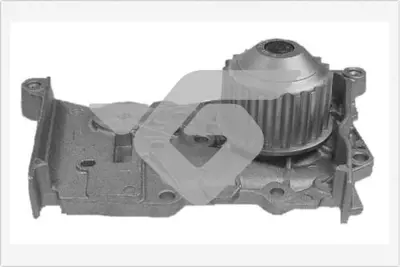 HUTCHINSON  WP43 Devirdaim Clio Ii 98> Clio Iii 05> Fluence 10>kangoo 97>laguna I 97>laguna Ii 01>05 Megane I-Ii-Iii Scenic I-Ii-Ii Symbol Ii 08> Dokker 12> Sandero 08> 1.4 1.6 210100753R 16130270001 60921239 FWP1778 P842S D1R015TT CXP1841S PA970S 210105707R 210105296R