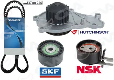 GVA  59WPK4315-1 Devirdaimli Triger Seti (137x254) P206-P207-P307-P308-P407-P3008-Expert-Partner-Berlingo-Jumpy-C2-C3 -C4-C5-Xsara-Focus Ii-Fiesta V-Vi Volvo S40-C30-V50-Fiat Scudo Euro4 1.6 Hdi-Tdci 3M5Q8B596AB 1753585 3009381 1855736 WMZ9140WP KD1010W KATW1466 1753584 2008684 1609525680