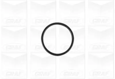 GRAF  PA1138 Devirdaim Pompasi Bmw S85 B50 M5 E60 M6 E63 E64 S65 B40 M3 E90 E92 E93 11517834797 11517838201 11517839062 BWP2383 241138 FWP2383 QCP3858 B140 CP0904 PA10367