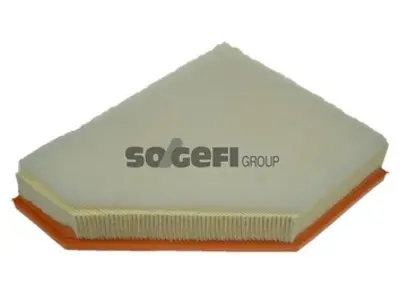 PURFLUX  A1333 Hava Filtresi 1612865880 3035700 A1333 ADB112209 AP0329 CA10700 E1004L F026400119 S3357A U887606