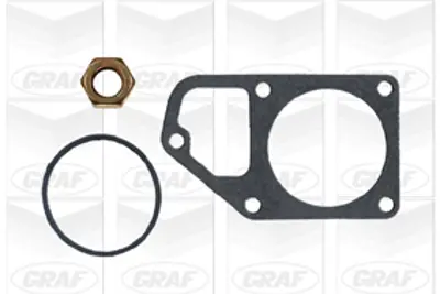 GRAF  PA600 Devirdaim J9bus-2.5d-J9platform/Chassis-2.5d-J9van-2.5d 180269 120138 5SP179 LP189 212303501089000 PCA010300 608006 RA01960 2066001 598389