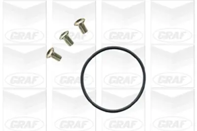 GRAF  PA658 Devirdaim Seat / Volkswagenr5. 4motion / Leon I (1m1) : 2.3 Vr5 / New Beetle (9c1. 1c1) : 2.3 V5 / P 066121011C 066121011D 071121005