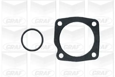 GRAF  PA659 Devirdaim Alfa Romeo / Fiat145. 146 (930) : 1.9 Td / Tempra (159) : 1.9 Td / Tempra (159) Sw : 1.9 T 5896822 VKPC82618 VKPA82618 PA10514 5896821 5896813 65880 WP1830 7694408 PA378A