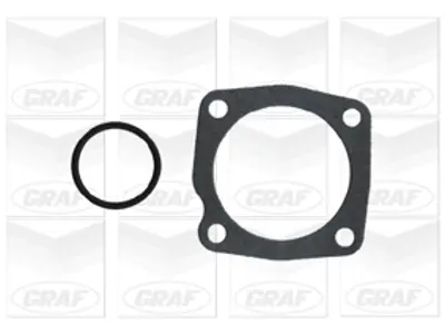 GRAF  PA733 Devirdaim Fiat Lcv / Innocentielba (146) : 1.7 D / Fiorino Iii (146) : 1.7 D;1.7 Td. Pick Up 46464225 CP3326 WP0038 240733 10733 WAP831110 71737980 46525058 PA733 PQ0210