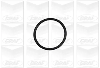 GRAF  PA886 Devirdaim Su Pompasi Peugeot P406-P407-P605-P607 Citroen C5-C8-Xantia-Xm 3.0 V6 Renault Clio- Laguna 3.0 1201E9 P1075 240906 22168 9641117180 QCP3541 WP0200 W886 1916 P802