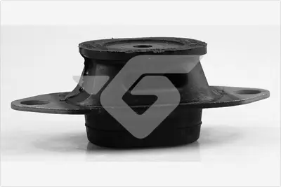 HUTCHINSON  538C27 Sanziman Takozu Sol Renault Captur I 13> Clio Iv 12> Kangoo Ii 08>13 Duster 10> Zoe 18> Lodgy 12> Dokker 12> 112202847R A4152660000 112205217R 4152660000 112217769R 538C27 109148 34620 R50169A 2704089