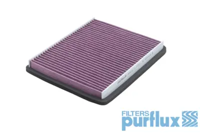 PURFLUX  AHA171 Polen Filtresi 701008 AHA171 CFP8867