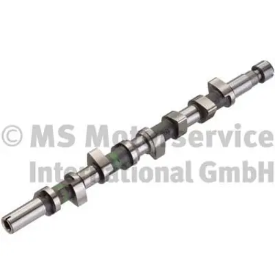 KOLBENSCHMIDT  50006332 Eksantrik Mili Megane I 97>01 Megane Ii 02>08  Laguna I 97>02 Laguna Ii 02>07 -Trafic Ii 06> Master I 01> 1.9 Dci (F9q) 8200084742 8200884427 7701472810 666832 MW30621267 8200741299 7700101055 666832K 93196630 CS9519