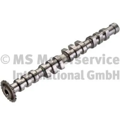 KOLBENSCHMIDT  50006307 Eksantirik Mili Vw CAM743