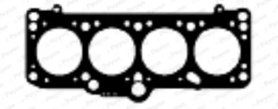 PAYEN  BN960 Skc Golf Ii-Jetta Ii-Passat Ii-Audi 80 1.6tdi (3kertik) 068103383DD 068103383CR 068103383EK
