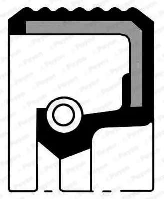 PAYEN  NA5327 Arka Krank Mil Keçesi Astra G-H-Vectra C-Zafira A-B-Corsa C-Combo C-Meriva A 1.4-1.6-1.8 16v  X/Z-Xe-Xep-Xe1 (80x98x14.6) 55355235 96376569 614203 90352571 614830 5614844 813943300 P7778001 434550 15090900