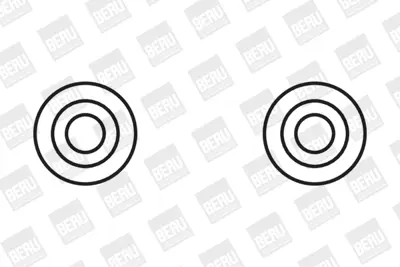 BERU  ZS355 Ateşleme Bobini 20425 48218 8530470