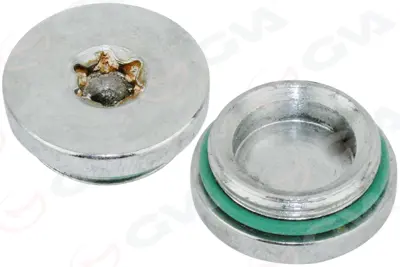 GVA  9890730 Eksantrik (Vanus) Tapasi Astra J-Astra H-Insignia A-Cruze 55557288 PA014 46119 5636974 40946116 55191442 6M5G9P452BA 1371935